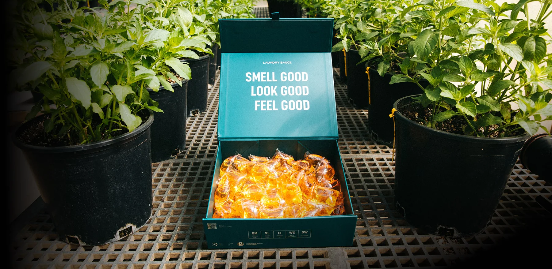 Scent is the New Style